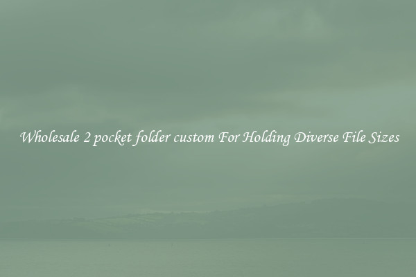Wholesale 2 pocket folder custom For Holding Diverse File Sizes