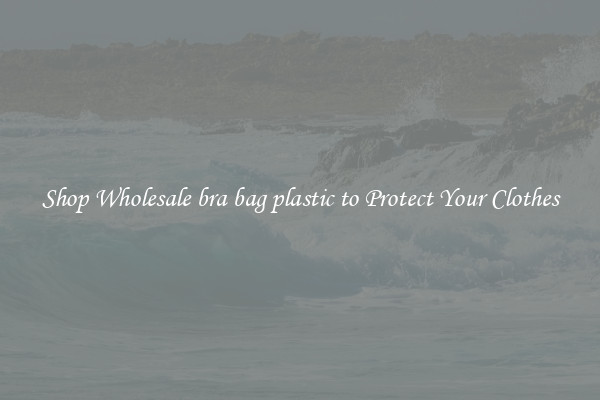 Shop Wholesale bra bag plastic to Protect Your Clothes