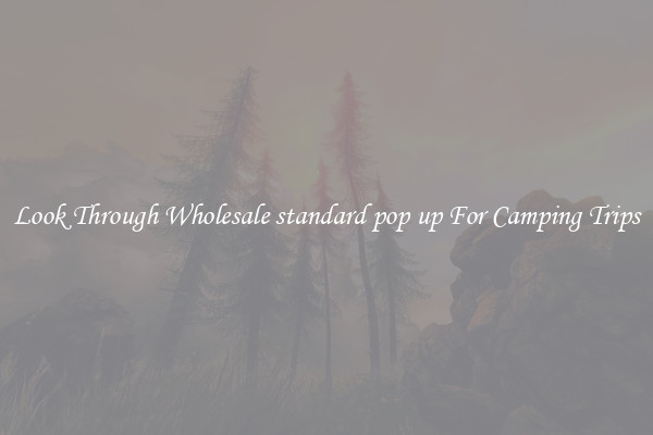 Look Through Wholesale standard pop up For Camping Trips