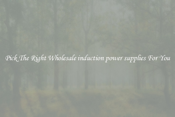 Pick The Right Wholesale induction power supplies For You