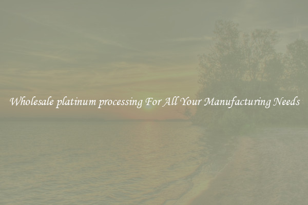 Wholesale platinum processing For All Your Manufacturing Needs