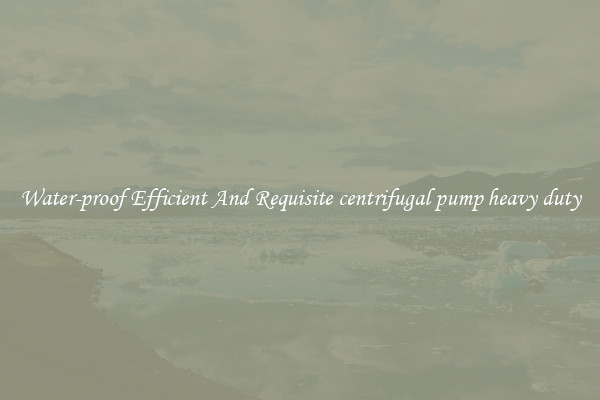 Water-proof Efficient And Requisite centrifugal pump heavy duty