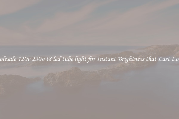 Wholesale 120v 230v t8 led tube light for Instant Brightness that Last Longer