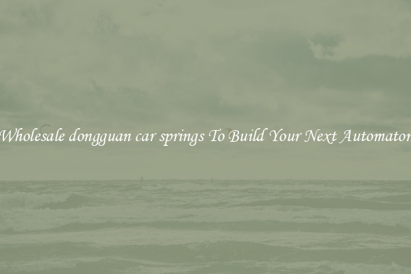 Wholesale dongguan car springs To Build Your Next Automaton