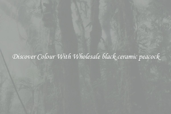 Discover Colour With Wholesale black ceramic peacock