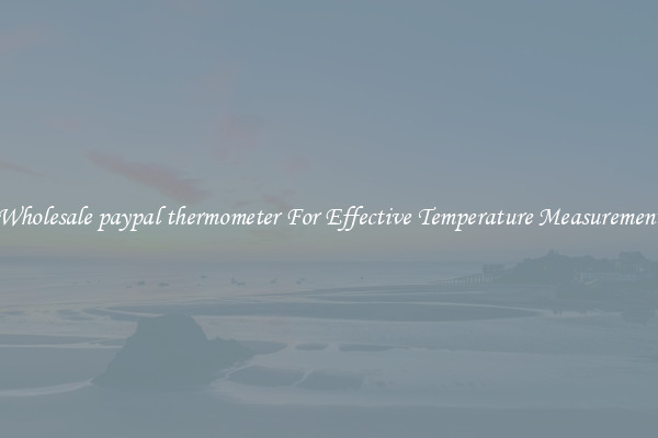 Wholesale paypal thermometer For Effective Temperature Measurement