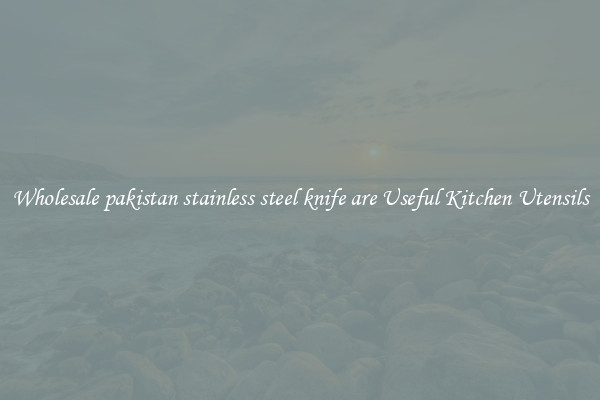 Wholesale pakistan stainless steel knife are Useful Kitchen Utensils