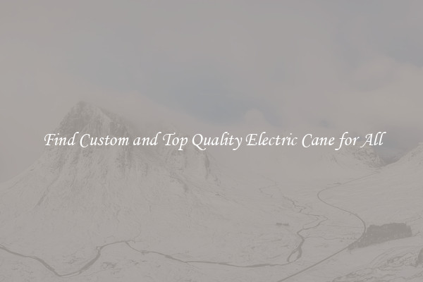 Find Custom and Top Quality Electric Cane for All