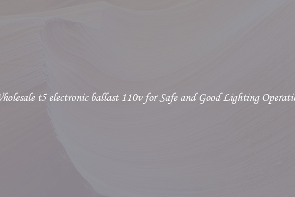Wholesale t5 electronic ballast 110v for Safe and Good Lighting Operation