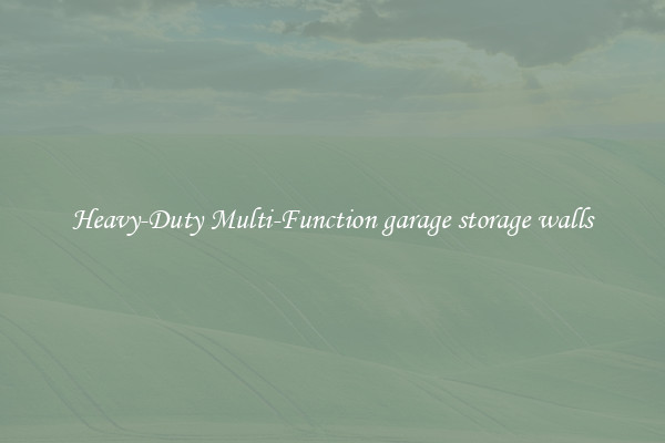 Heavy-Duty Multi-Function garage storage walls