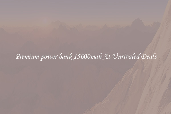 Premium power bank 15600mah At Unrivaled Deals