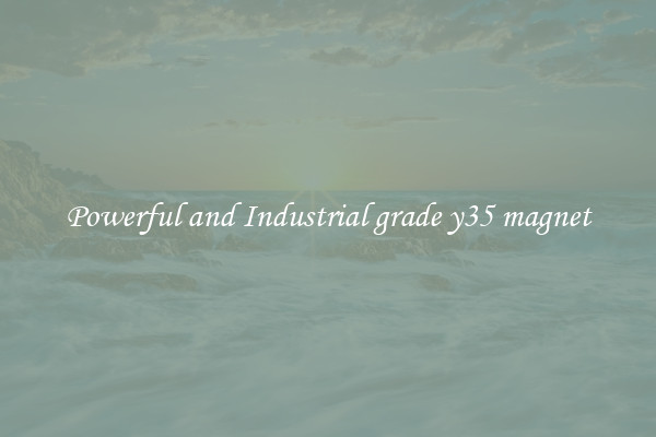Powerful and Industrial grade y35 magnet