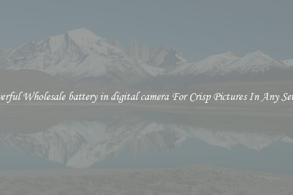 Powerful Wholesale battery in digital camera For Crisp Pictures In Any Setting