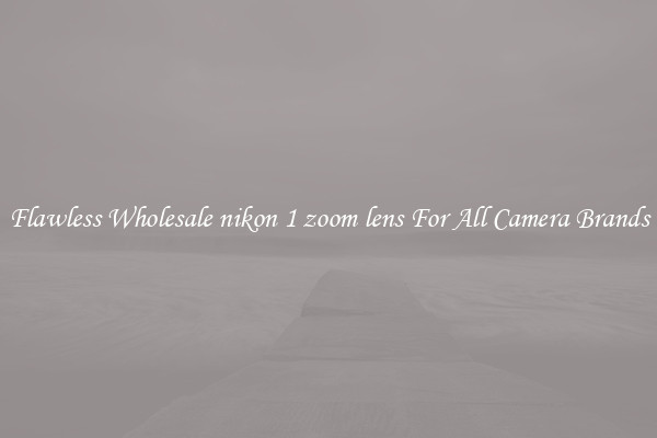 Flawless Wholesale nikon 1 zoom lens For All Camera Brands