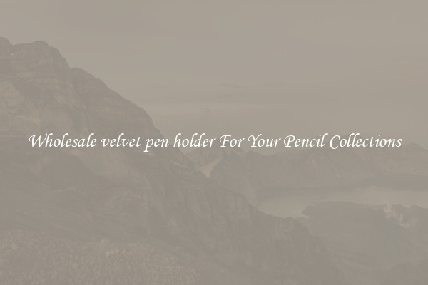Wholesale velvet pen holder For Your Pencil Collections